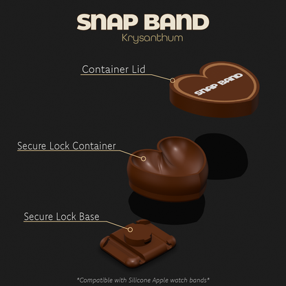 Rectangle - Snap Band